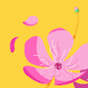 Meet your Posher, Kendall